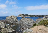 /album/galerie-de-photos-mon-blog/dsc03359a-ile-du-gaou-jpg/